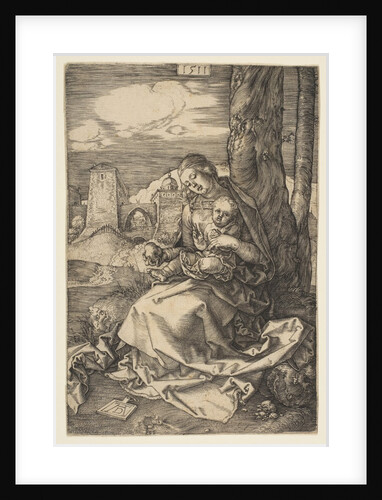 Virgin and Child with the Pear, 1511 by Albrecht Dürer