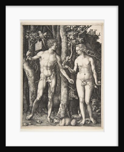 Adam and Eve, 1504 by Albrecht Dürer