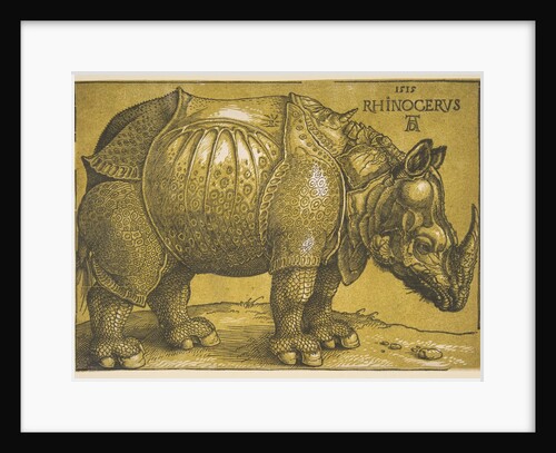 The Rhinoceros, after 1620 by Albrecht Dürer