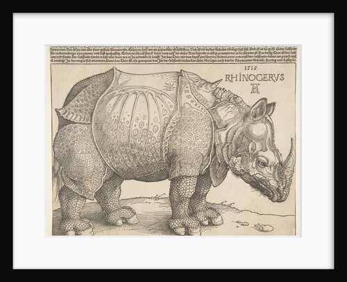 The Rhinoceros by Albrecht Dürer