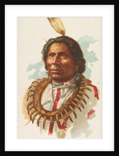 Hairy Bear, Winnebagoes, from the American Indian Chiefs series for Allen & Ginter Ci…, 1888 by Allen & Ginter