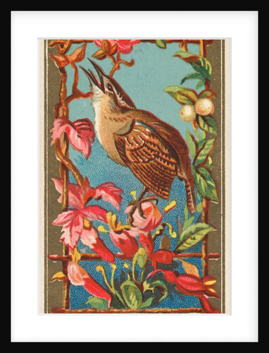 Wren, from the Birds of America series for Allen & Ginter Cigarettes Brands, 1888 by Allen & Ginter