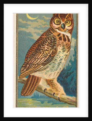 Horned Owl, from the Birds of America series for Allen & Ginter Cigarettes Brands, 1888 by Allen & Ginter