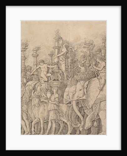 The Triumph of Caesar: The Elephants, ca. 1484-92 by Unknown