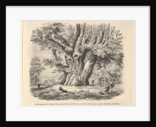 Le Châtaignier de Neuve-Celle, au bord du lac de Genève, after Daubigny, 1835-78 by Unknown