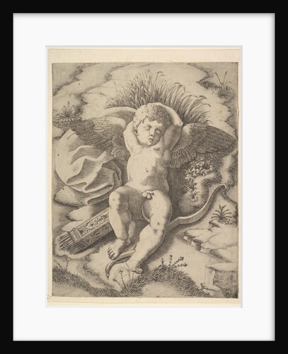 Cupid Sleeping, 16th century by Unknown