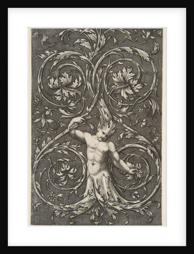 Grotesque with male figure with lower body and head of acanthus scrolls, ca. 1515-1600 by Unknown