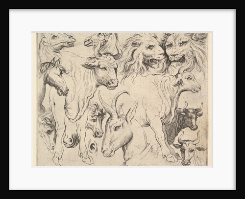 Studies of Heads by Unknown