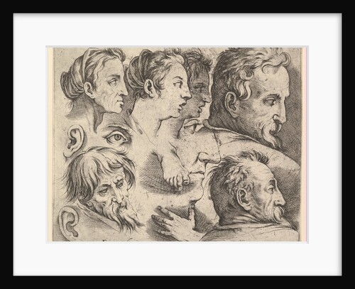 Studies of Heads by Battista Franco Veneziano