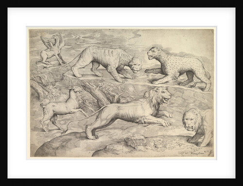Six Animals, including lions, a tiger, a leopard, a griffin, and a goat, ca. 1530-61 by Battista Franco Veneziano