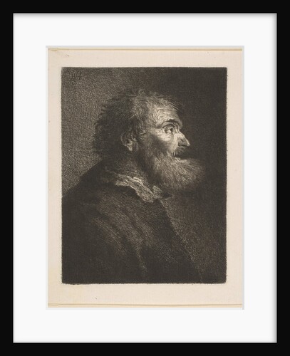 An Old Man in Profile, 1761 by William Baillie