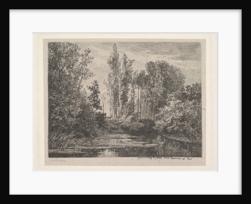 Stags at the Water's Edge, 1850 by Charles Francois Daubigny