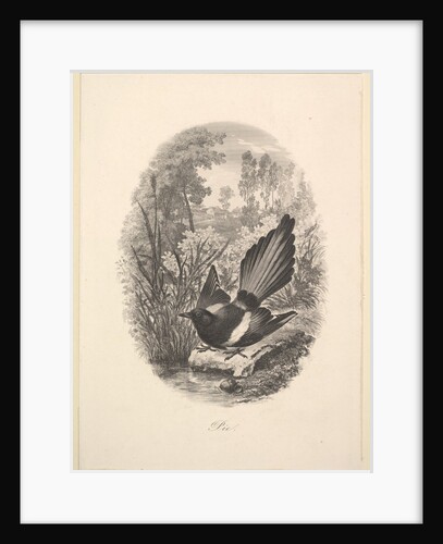 Magpie, 1843 by Charles Francois Daubigny