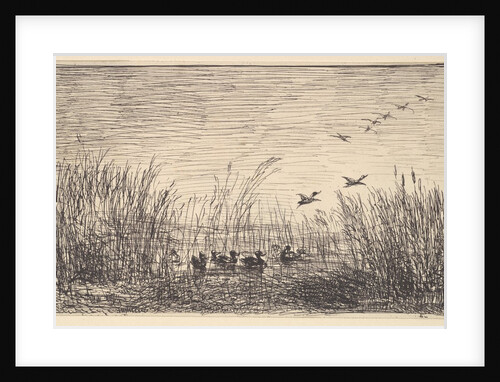 Ducks in the Marshes, [1862], reprinted 1921 by Charles Francois Daubigny