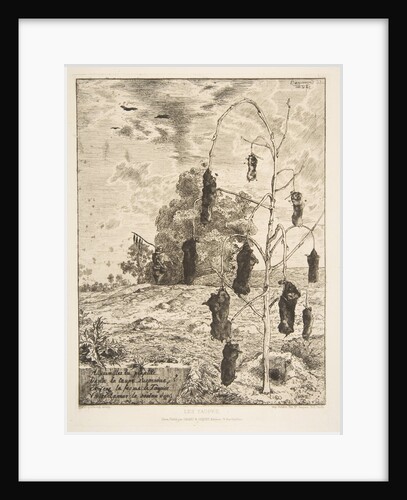 Les Taupes, 1854 by Felix Bracquemond