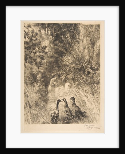 Canards surpris, 1882 by Felix Bracquemond