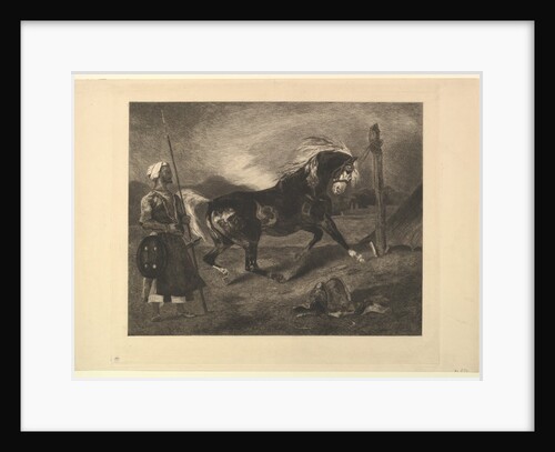 Cheval arabe au piquet, d'après Delacroix, 1857 by Felix Bracquemond