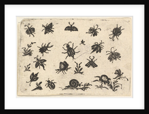Small Motifs of Insects and Plants, 1596 by Georg Herman