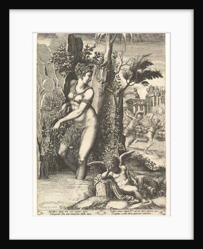 Venus pricked by the thorns on a rose bush, in the background Mars chasing Adonis, in the …, 1556 by Giorgio Ghisi