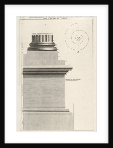 Section of column base from the Temple of Fortuna Virilis, f…, 1756 by Giovanni Battista Piranesi