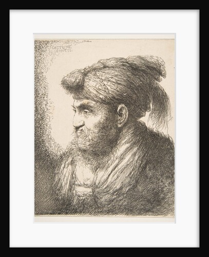 Man weraing a turban facing left, from the series of 'Large Oriental Heads', ca. 1645-50 by Giovanni Benedetto Castiglione