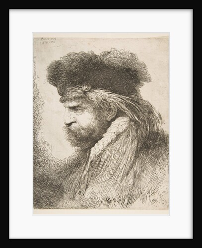 Head of an old man facing left, from the series of 'Large Oriental Heads', ca. 1645-50 by Giovanni Benedetto Castiglione