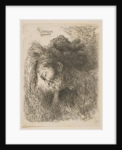 Head of an old man looking down, facing left, from the series 'Small Studies of He…, ca 1645-1650 by Giovanni Benedetto Castiglione