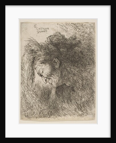 Head of an old man looking down, facing Left, from the series of 'Small Heads in …, ca. 1645-1650 by Giovanni Benedetto Castiglione