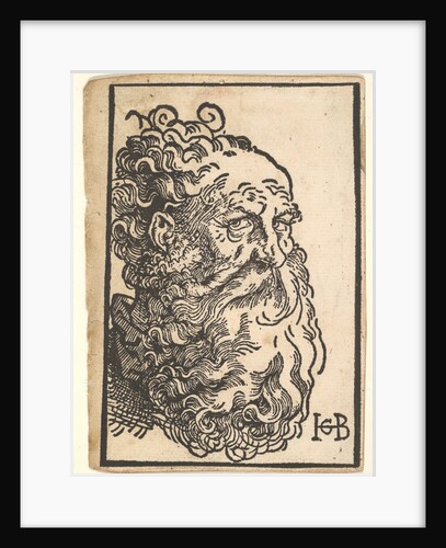 Head of a Bearded Man, ca. 1518-19 by Hans Baldung