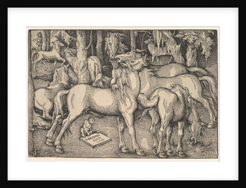 Group of Seven Horses, 1534 by Hans Baldung