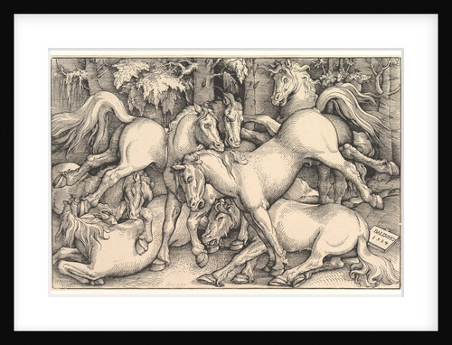 Group of Seven Horses, 1534 by Hans Baldung