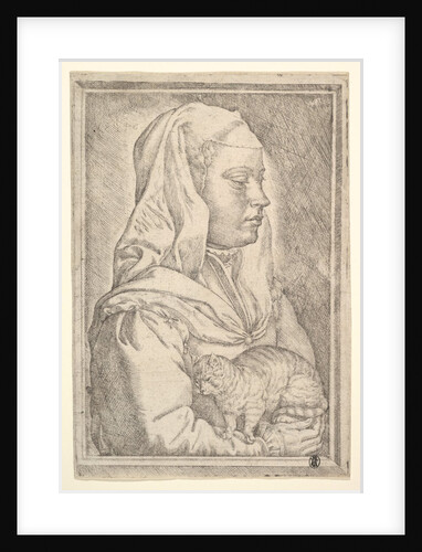 Girl with a Cat, 1546 by Jan Cornelisz Vermeyen