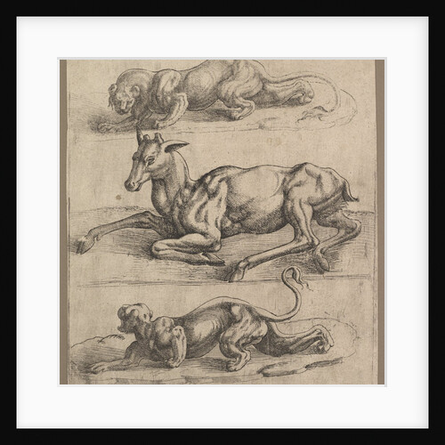 A Doe and Two Lionesses, ca. 1540 by Jan Cornelisz Vermeyen (attributed to)