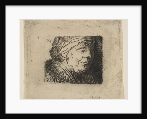 Head of an Old Woman, 1620-40 by Jan Georg van Vliet