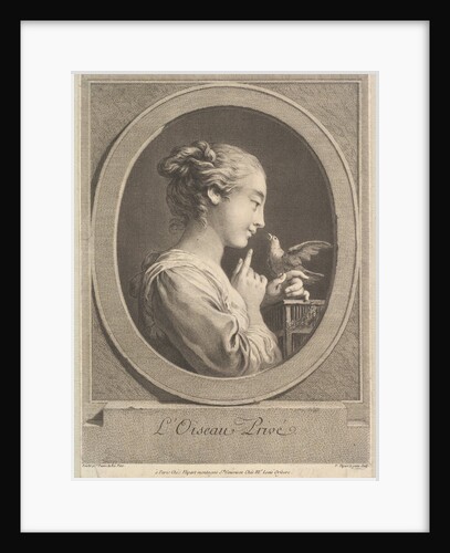 The Tamed Bird, ca. 1769 by Jean Jacques Flipart