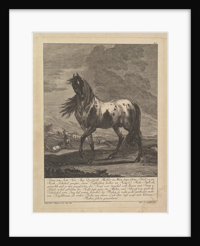 Horse, 18th Century by Unknown
