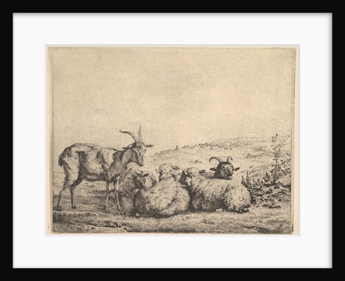 Two Goats and Three Sheep, 1655 by Karel Du Jardin
