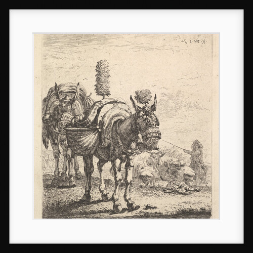 Two mules bearing panniers and outfitted with blinders, plumes, and tassels; one mu…, ca. 1641-78 by Karel Du Jardin