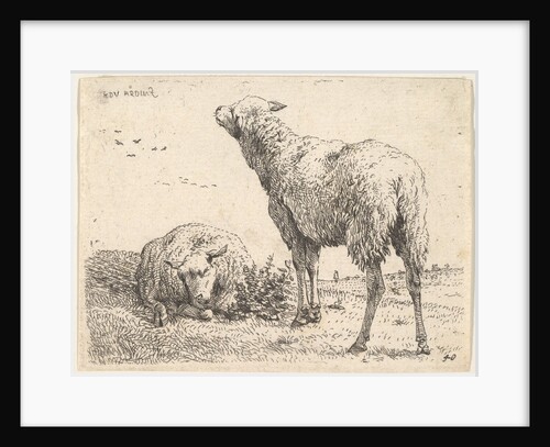 Two sheep, one shown frontally in a reclining position with its legs folded underneath…, ca. 1655 by Karel Du Jardin