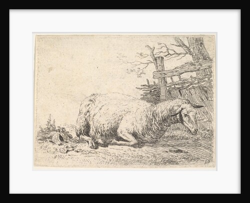 A sheep lying with its legs folded underneath its body next to a wooden fence, the she…, ca. 1655 by Karel Du Jardin