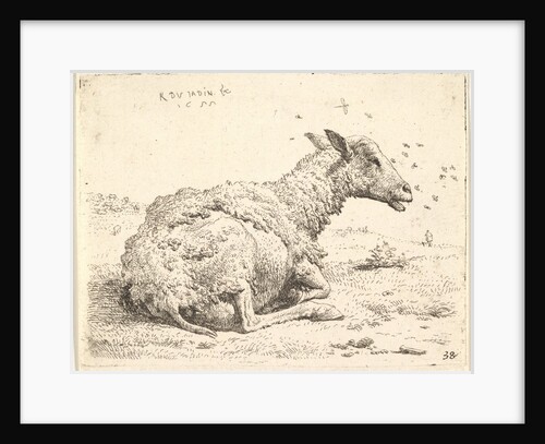 Partially shorn sheep lying in the grass with insects hovering around its head, 1655 by Karel Du Jardin