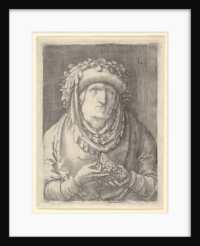 Old Woman With Grapes, ca. 1523 by Lucas van Leyden