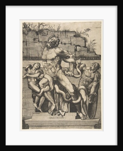 Laocoön and his sons being attacked by serpents, ca. 1515-27 by Marco Dente