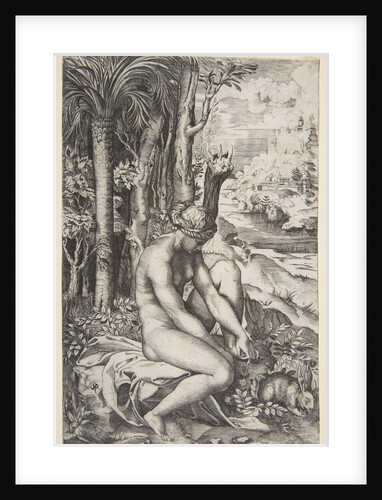 Venus removing a thorn from her left foot while seated on a cloth next to trees, a …, ca. 1515-27 by Marco Dente