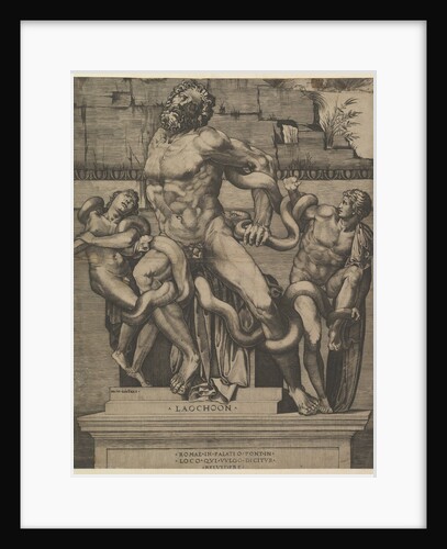 Speculum Romanae Magnificentiae: Laocoon, 16th century by Marco Dente