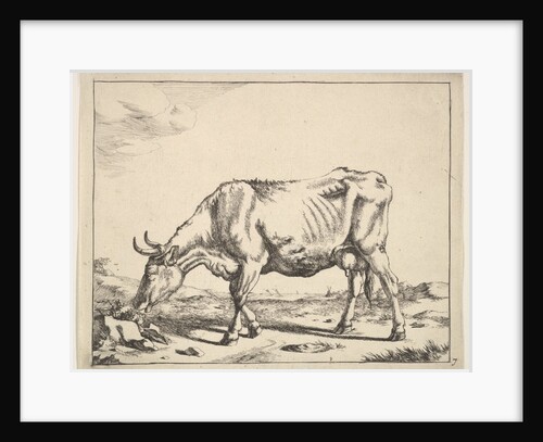 Cow, after Paulus Potter by Marcus de Bye