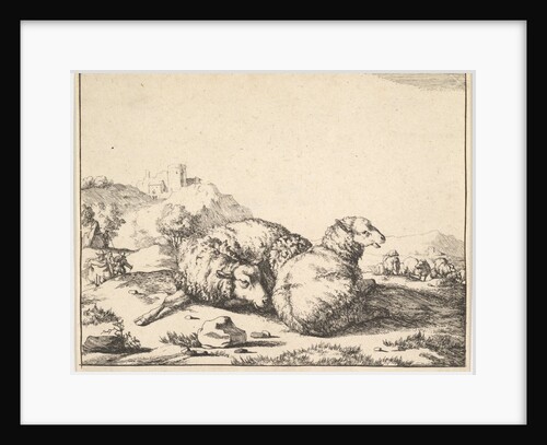 Sheep, from a set of 16 plates, 1664 by Marcus de Bye