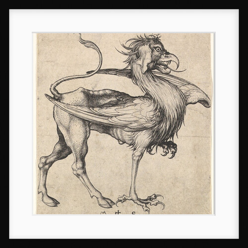 Griffin, ca. 1435-1491 by Martin Schongauer