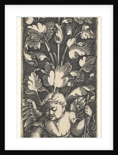 Ornament with a Genius Holding a Shield, 1536 by Master MVHF