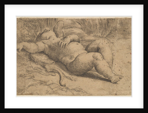 Cupid Sleeping, 16th century by Parmigianino